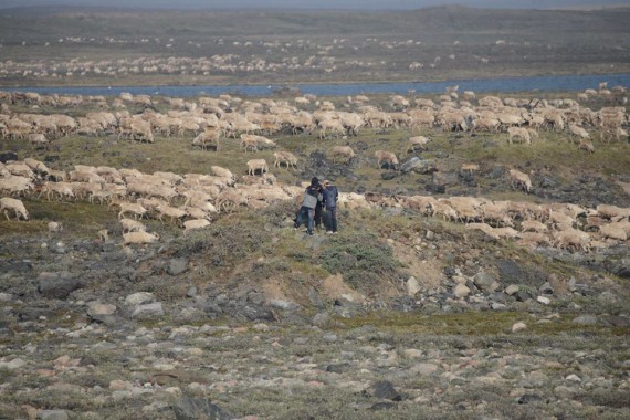 Noel Kaludjak took this spectacular image of Rankin Inlet residents watching as migrating caribou pass near the community earlier this week. (PHOTO COURTESY OF NOEL KALUDJAK)