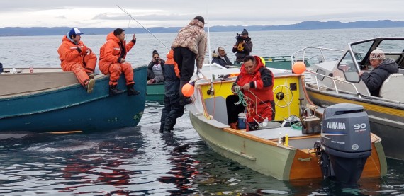 Hunters from Iqaluit successfully landed a bowhead whale yesterday. The last bowhead caught near Nunavut’s capital was hunted in 2011. See more later at Nunatsiaq.com. (PHOTO COURTESY OF ROMEYN STEVENSON)
