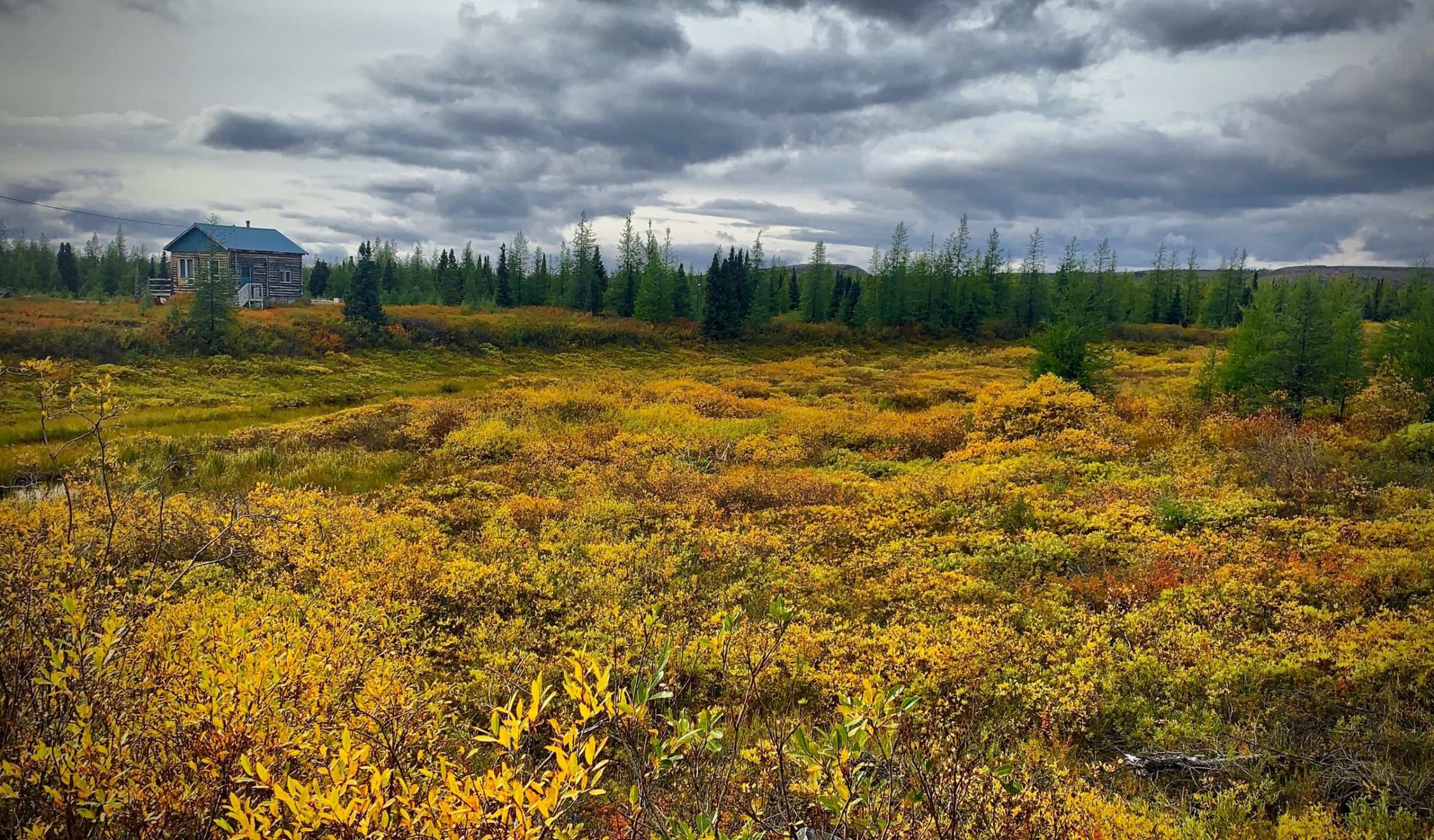 Malaya Qaunirq Chapman took this photo outside Kuujjuaq on Sunday, Sept. 20. “In the distance is Etua Snowball’s beautiful log cabin, surrounded by the beautiful changing season,” she writes. “Fall is here, and the colours are so pleasing to the eyes, in every direction you look. The air is deliciously crisp and refreshing. Change of season is here, and we are eager for winter to come. Now, we prep for winter!” (Photo by Malaya Qaunirq Chapman)