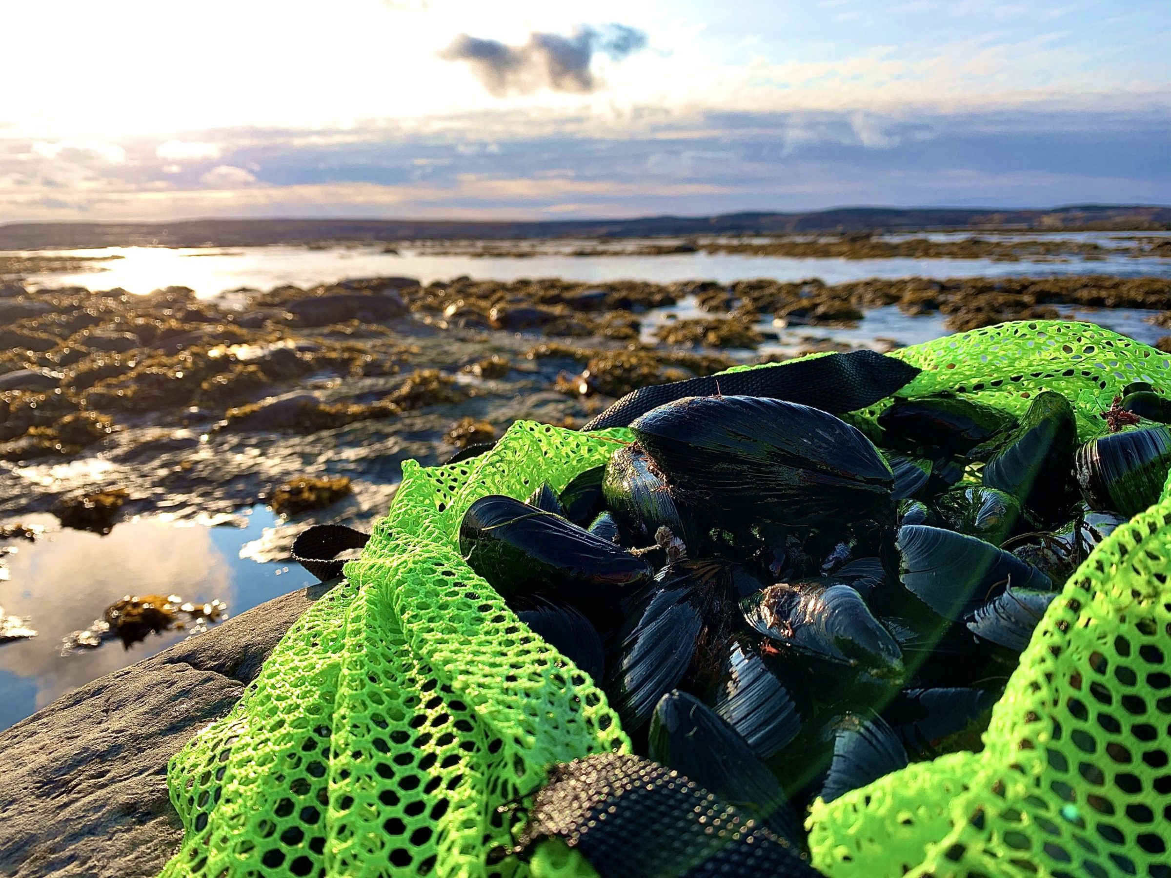 Malaya Qaunirq Chapman of Kuujjuaq took this photo while mussel picking at Kuujjuarusiq, in Ungava Bay near the mouth of the Kuujjuaq River. “It was a beautiful weekend at our cabin down river!” she writes. “Our perfect days are when we’re hunting and gathering to last us for winter. Mussel picking in October? Sure!” The staff at Nunatsiaq News wish our readers a happy Thanksgiving. Our offices will be shut on Monday for the holiday. (Photo by Malaya Qaunirq Chapman)