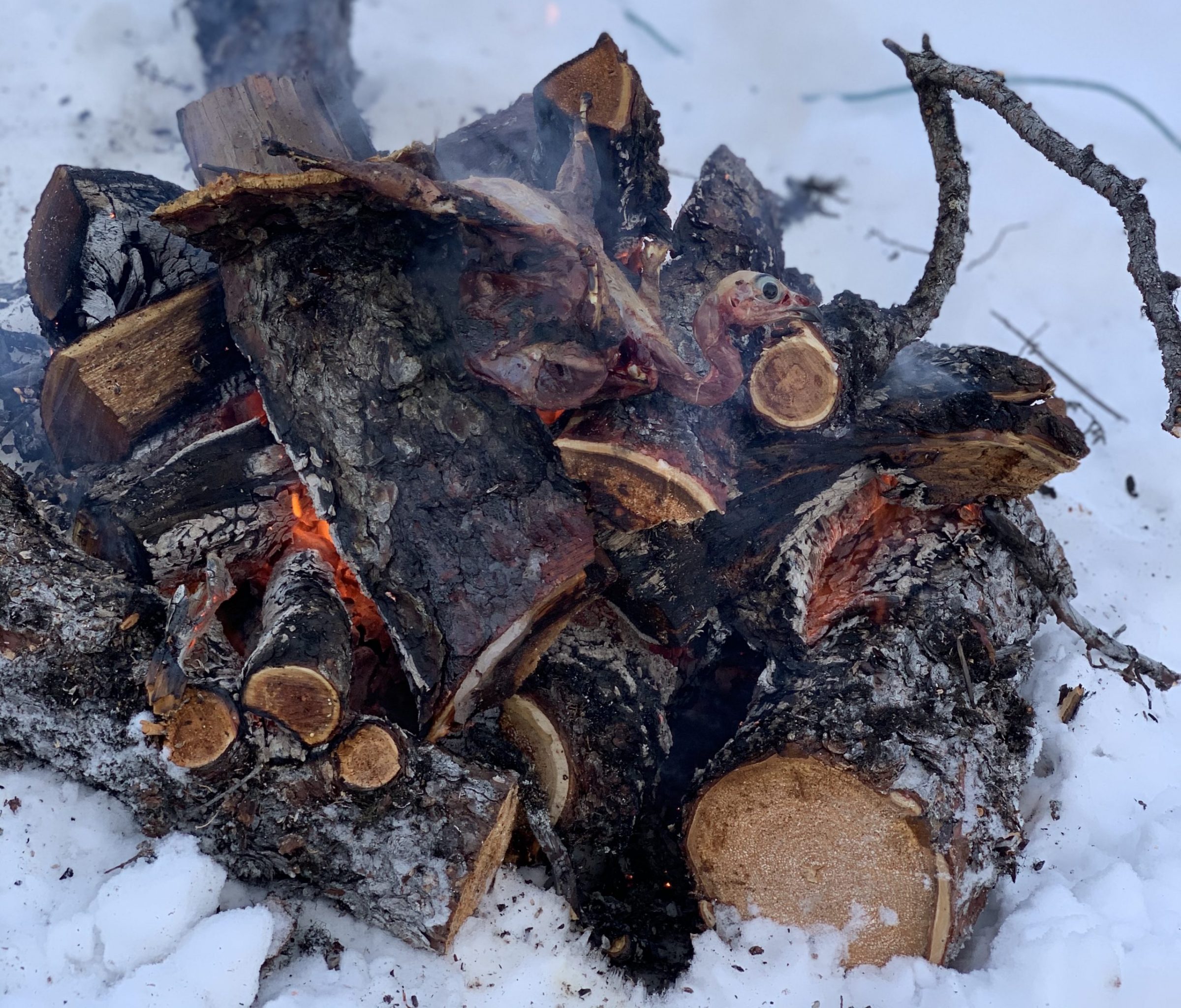 A ptarmigan, or aqigqiq, caught by Etua Snowball cooks over a log fire during an outing at Tasialuk Lake, just outside Kuujjuaq, on Nov. 15. (Photo by Malaya Qaunirq Chapman)
