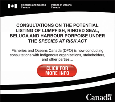 Consultations on the potential listing of Lumpfish, Ringed seal, Beluga and Harbour porpoise