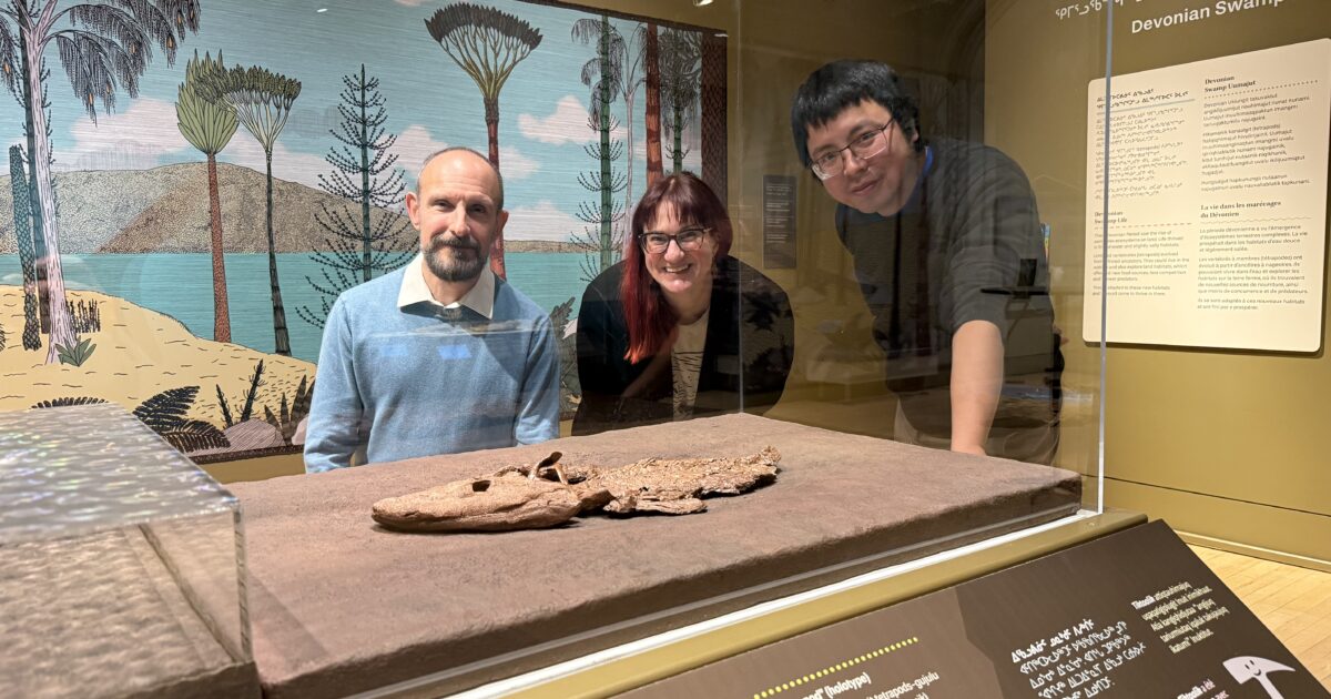 Prehistoric fish crawls into spotlight at Canadian Museum of Nature