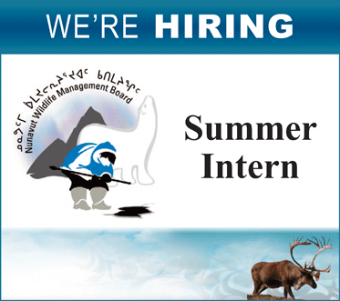 We're hiring a summer intern at Nunavut Wildlife Management Board